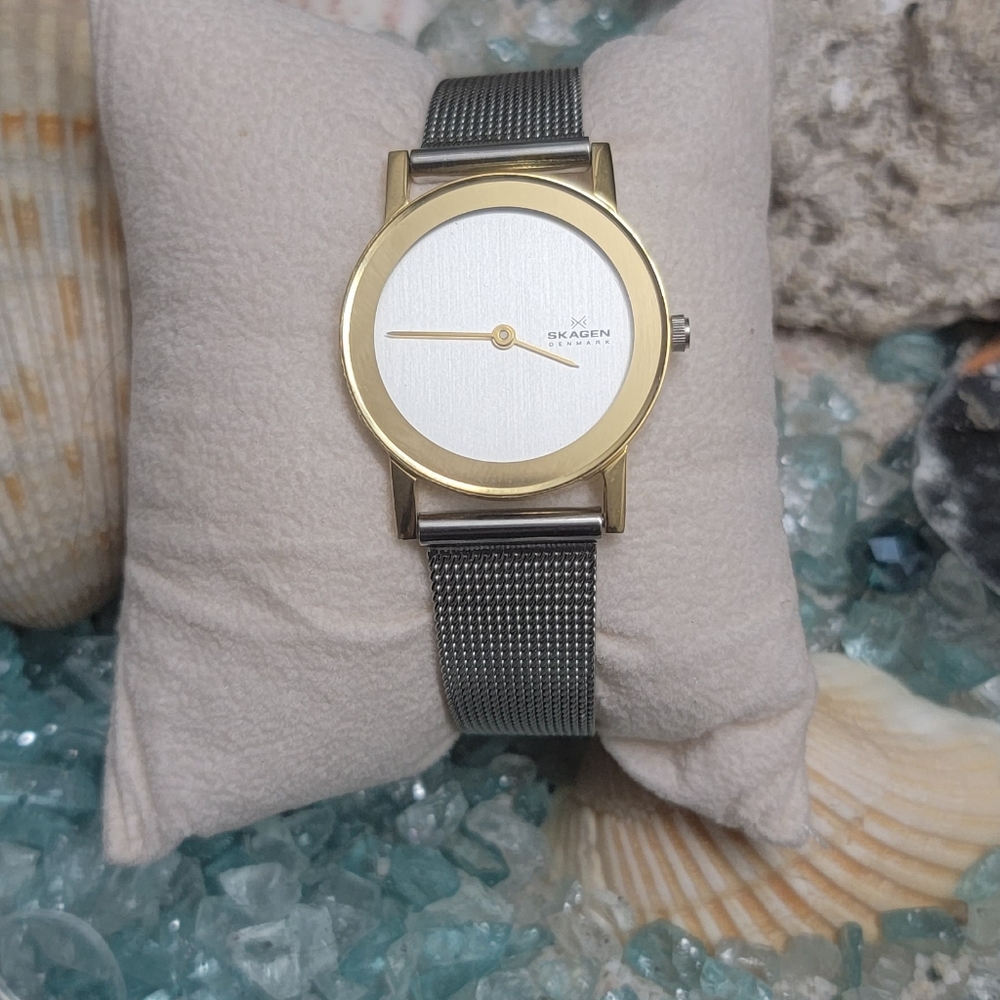 Skagen Denmark Ultra slim mesh watch